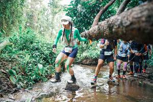 BIB: 
                            <button type="button" onclick="openModal(25373648)" class="btn btn-primary btn-sm float-right btn-popup" data-toggle="modal" data-target=".modal-high-quality">
                        <i class="fas fa-shopping-cart"></i> Add to Cart
                    </button>
                                            <button type="button" onclick="isThisMe(25373648, true)" class="btn btn-success btn-sm float-right btn-popup btn-isme hidden" data-toggle="tooltip" data-placement="bottom" title="นี่คือรูปของคุณใช่ไหม คลิกที่นี่เพื่อเอาเข้าอัลบั้ม">
                        <i class="fas fa-plus"></i> Add to album
                    </button>
                    <button type="button" onclick="isThisMe(25373648, false)" class="btn btn-warning btn-sm float-right btn-popup btn-isnotme hidden">
                        <i class="fas fa-ban"></i> Remove from album
                    </button>